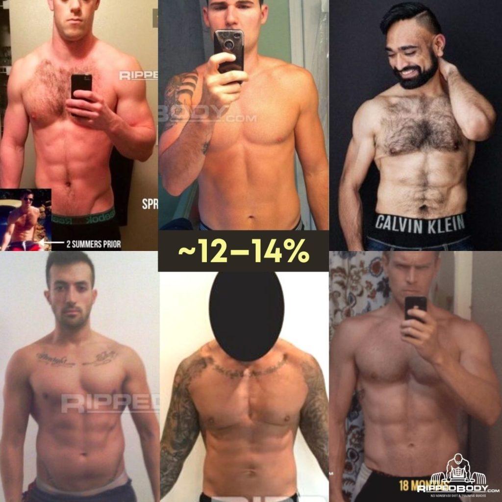 The image is a collage of six photographs of men displaying their upper bodies, showcasing different physiques. The central text reads '~12-14%', indicating a body fat percentage range. The men have varying levels of muscle definition and body hair. Some are taking selfies in mirrors, while others are professionally photographed. The background settings vary, with some in bathrooms and others in studio-like environments. The text 'RIPPEDBODY.COM' and 'CALVIN KLEIN' are visible on some images, suggesting branding or source attribution.