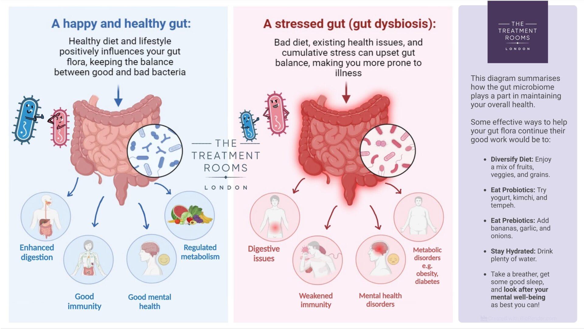 The image is an infographic comparing a healthy gut with a stressed gut. On the left, a healthy gut is depicted with a smiling blue bacterium and a pink bacterium, indicating a balance of good and bad bacteria. It highlights benefits such as enhanced digestion, good immunity, regulated metabolism, and good mental health. On the right, a stressed gut is shown with an angry pink bacterium and a blue bacterium, representing gut dysbiosis. It lists issues like digestive problems, weakened immunity, mental health disorders, and metabolic disorders. The right side also provides tips for maintaining gut health, such as diversifying diet, eating probiotics and prebiotics, staying hydrated, and managing stress. The image is branded with 'The Treatment Rooms London.'