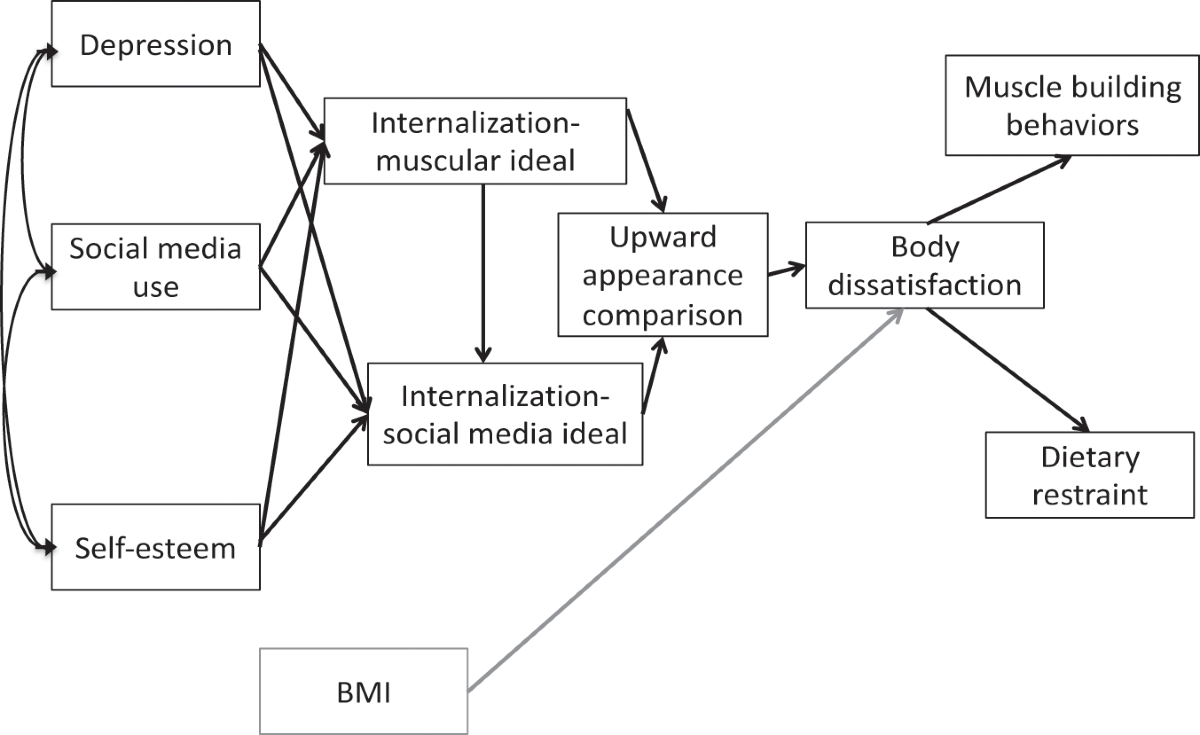 The image is a flowchart illustrating a biopsychosocial model of social media use and body image. It includes several interconnected elements: 'Depression', 'Social media use', 'Self-esteem', 'Internalization-muscular ideal', 'Internalization-social media ideal', 'Upward appearance comparison', 'Body dissatisfaction', 'Muscle building behaviors', 'Dietary restraint', and 'BMI'. Arrows indicate the relationships and influences between these elements, showing how social media use and internalization of ideals can lead to body dissatisfaction and related behaviors.