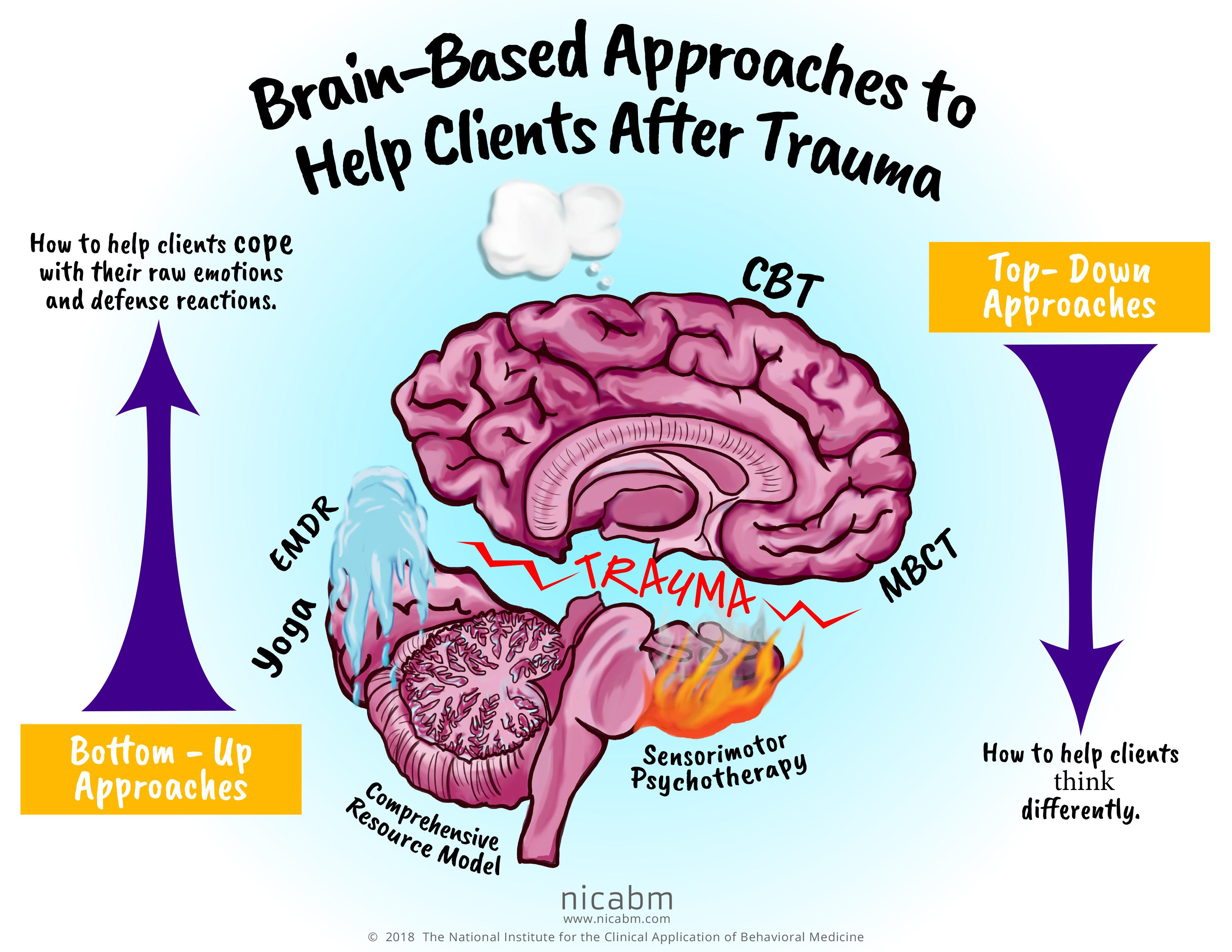 The image is an infographic titled 'Brain-Based Approaches to Help Clients After Trauma.' It features a central illustration of a human brain with the word 'TRAUMA' written across it. The brain is surrounded by various terms and arrows indicating different therapeutic approaches. On the left side, labeled 'Bottom-Up Approaches,' are methods such as Yoga, EMDR, and Comprehensive Resource Model. On the right side, labeled 'Top-Down Approaches,' are CBT and MBCT. The infographic includes arrows pointing upwards and downwards, with text explaining how these approaches help clients cope with emotions and think differently. The background is a gradient of light blue, and the image is credited to nicabm.com.