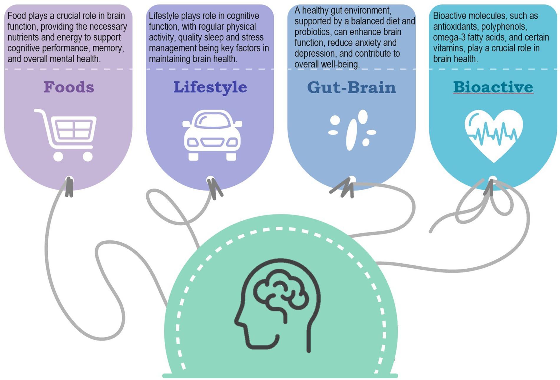 The image is an infographic illustrating the relationship between various factors and brain health. It is divided into four sections, each with a different color and icon. The first section, labeled 'Foods', features a shopping cart icon and explains that food provides essential nutrients and energy for cognitive performance and mental health. The second section, 'Lifestyle', with a car icon, highlights the importance of physical activity, quality sleep, and stress management in maintaining brain health. The third section, 'Gut-Brain', includes an icon representing gut health and discusses how a balanced diet and probiotics can enhance brain function and reduce anxiety and depression. The final section, 'Bioactive', with a heart and heartbeat icon, mentions bioactive molecules like antioxidants and omega-3 fatty acids as crucial for brain health. At the bottom, there is a central image of a brain inside a head, symbolizing the overall theme of brain health.