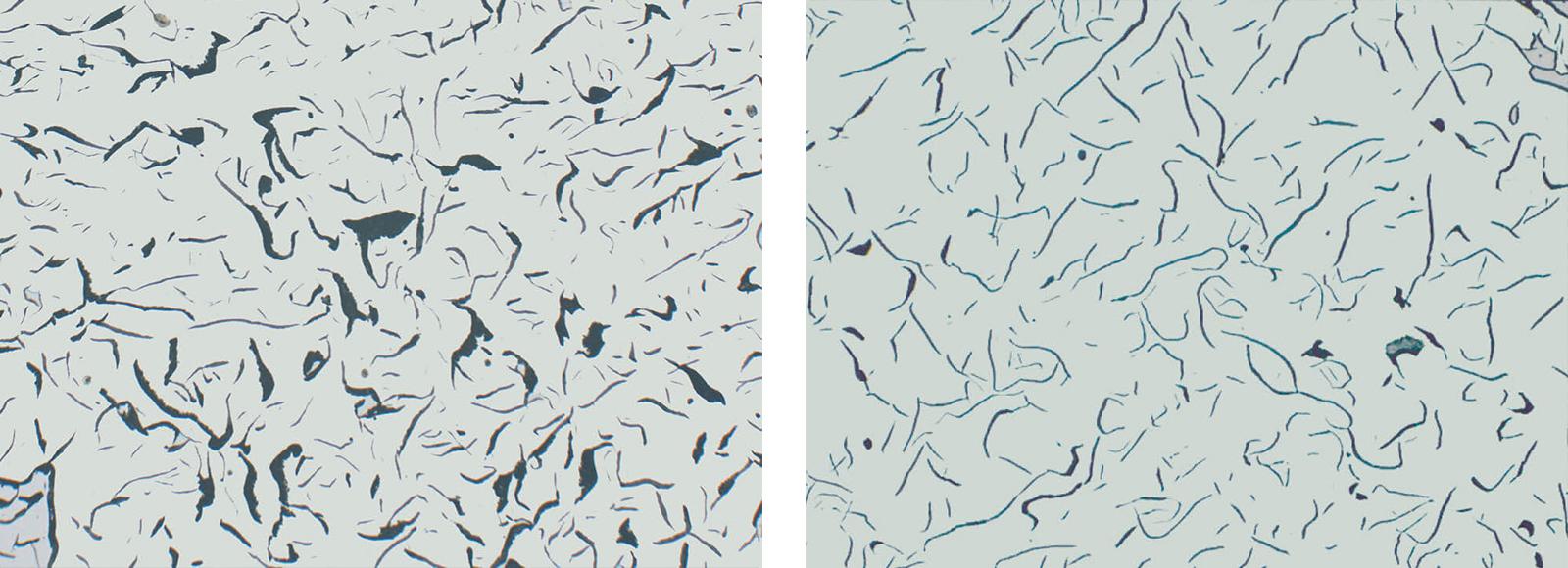 Das Bild zeigt zwei nebeneinander liegende mikroskopische Aufnahmen von Gusseisen. Beide Aufnahmen haben einen hellen Hintergrund mit dunklen, unregelmäßigen Linien und Formen, die die Mikrostruktur des Materials darstellen. Die linke Aufnahme zeigt eine dichtere Anordnung der Linien, während die rechte Aufnahme eine etwas gleichmäßigere Verteilung aufweist. Diese Strukturen sind typisch für die Untersuchung der Metallographie von Gusseisen, um die Eigenschaften und Zusammensetzung des Materials zu analysieren.