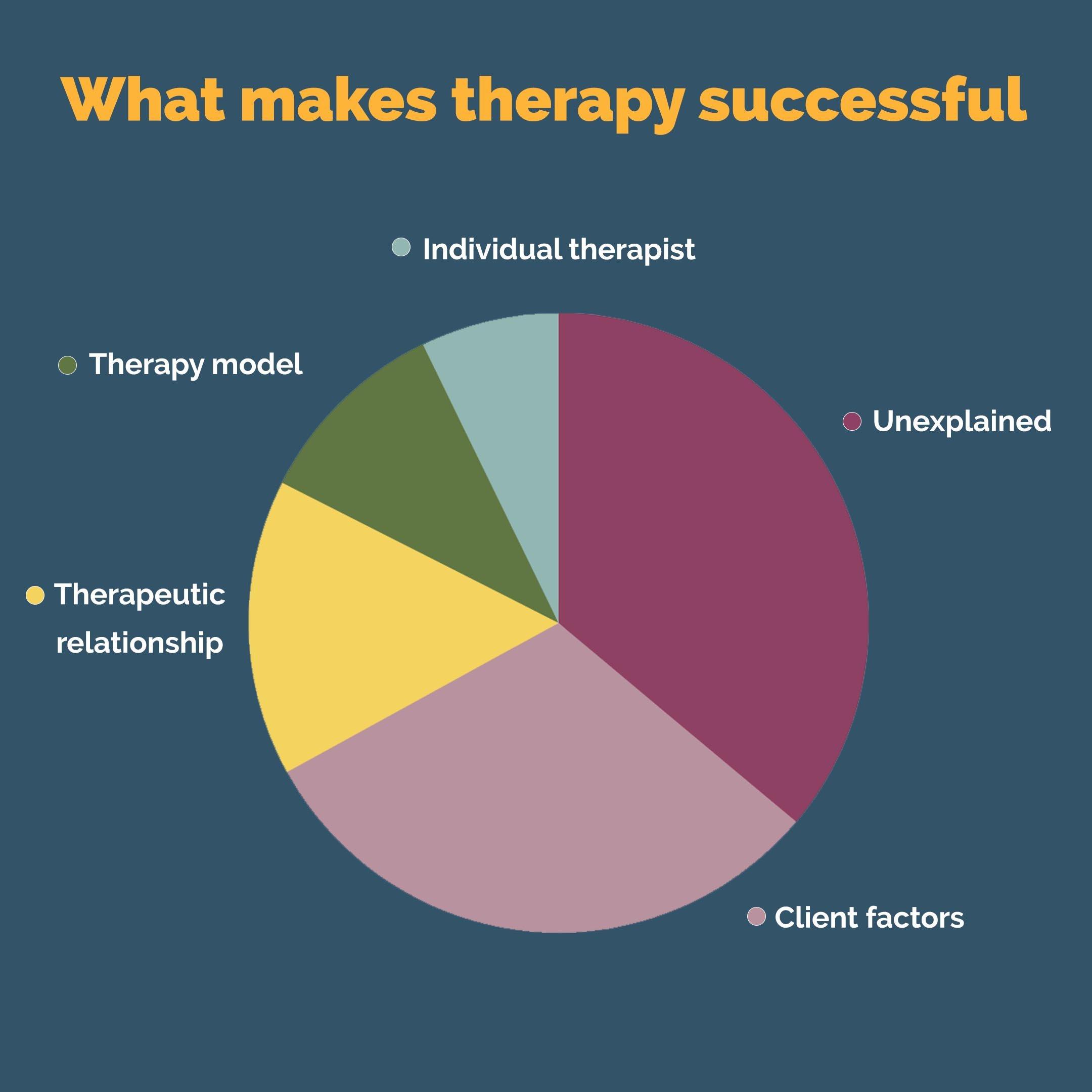 The image is a pie chart titled 'What makes therapy successful' on a dark blue background. The chart is divided into five segments, each representing different factors contributing to successful therapy. The segments are labeled as follows: 'Individual therapist' in light blue, 'Therapy model' in green, 'Therapeutic relationship' in yellow, 'Unexplained' in dark pink, and 'Client factors' in light pink. Each segment is color-coded and accompanied by a corresponding label outside the chart.