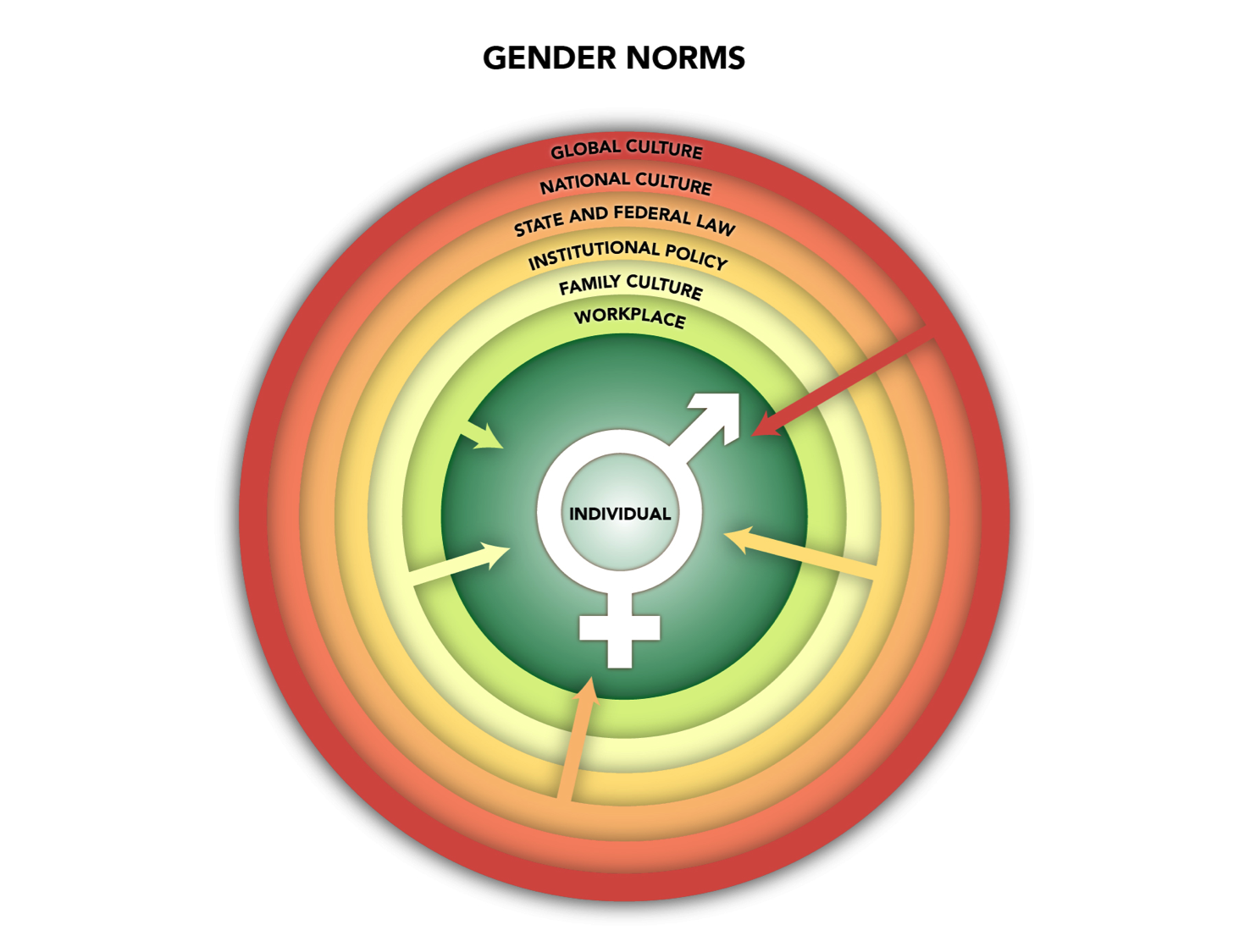 The image is an infographic titled 'GENDER NORMS' at the top. It features a series of concentric circles with different colors, ranging from green in the center to red on the outermost circle. At the center is a symbol combining the male and female gender symbols, labeled 'INDIVIDUAL'. Surrounding the individual are layers labeled 'WORKPLACE', 'FAMILY CULTURE', 'INSTITUTIONAL POLICY', 'STATE AND FEDERAL LAW', 'NATIONAL CULTURE', and 'GLOBAL CULTURE'. These layers represent different societal influences on gender norms, with arrows pointing inward towards the individual.