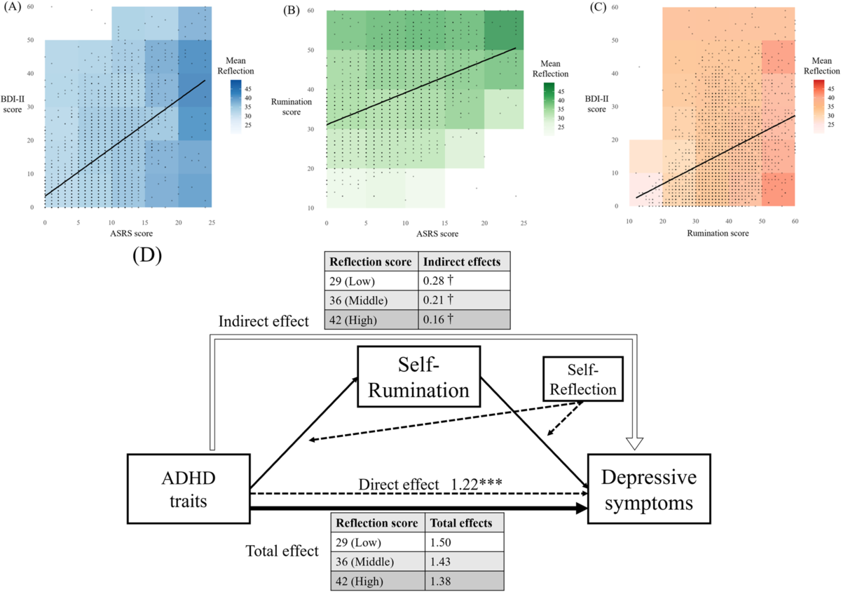 The image consists of three scatter plots labeled (A), (B), and (C), and a diagram labeled (D). Each plot shows a relationship between different psychological scores with a color gradient representing 'Mean Reflection'. Plot (A) shows BDI-II score versus ASRS score with a blue gradient. Plot (B) shows Rumination score versus ASRS score with a green gradient. Plot (C) shows BDI-II score versus Rumination score with an orange gradient. Below the plots, a diagram illustrates the relationships between 'ADHD traits', 'Self-Rumination', 'Self-Reflection', and 'Depressive symptoms'. It includes direct and indirect effects with numerical values. Two tables provide 'Reflection score' and corresponding 'Indirect effects' and 'Total effects'.