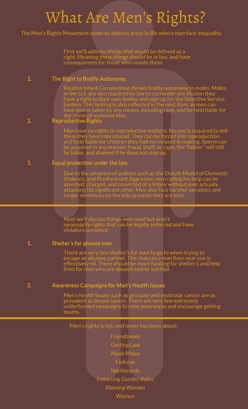 The image is an informational graphic titled 'What Are Men's Rights?' It discusses the Men's Rights Movement and areas where men face inequality. The text is divided into sections addressing rights and needs. The first section covers rights such as bodily autonomy, reproductive rights, and equal protection under the law. It highlights issues like routine infant circumcision, lack of reproductive rights, and legal biases against men. The second section discusses needs that are not legally enforceable, such as shelters for abused men and awareness campaigns for men's health issues. The graphic concludes by stating what men's rights are not about, listing items like 'Friendzones' and 'Blaming Women.' The background is dark with yellow and white text.