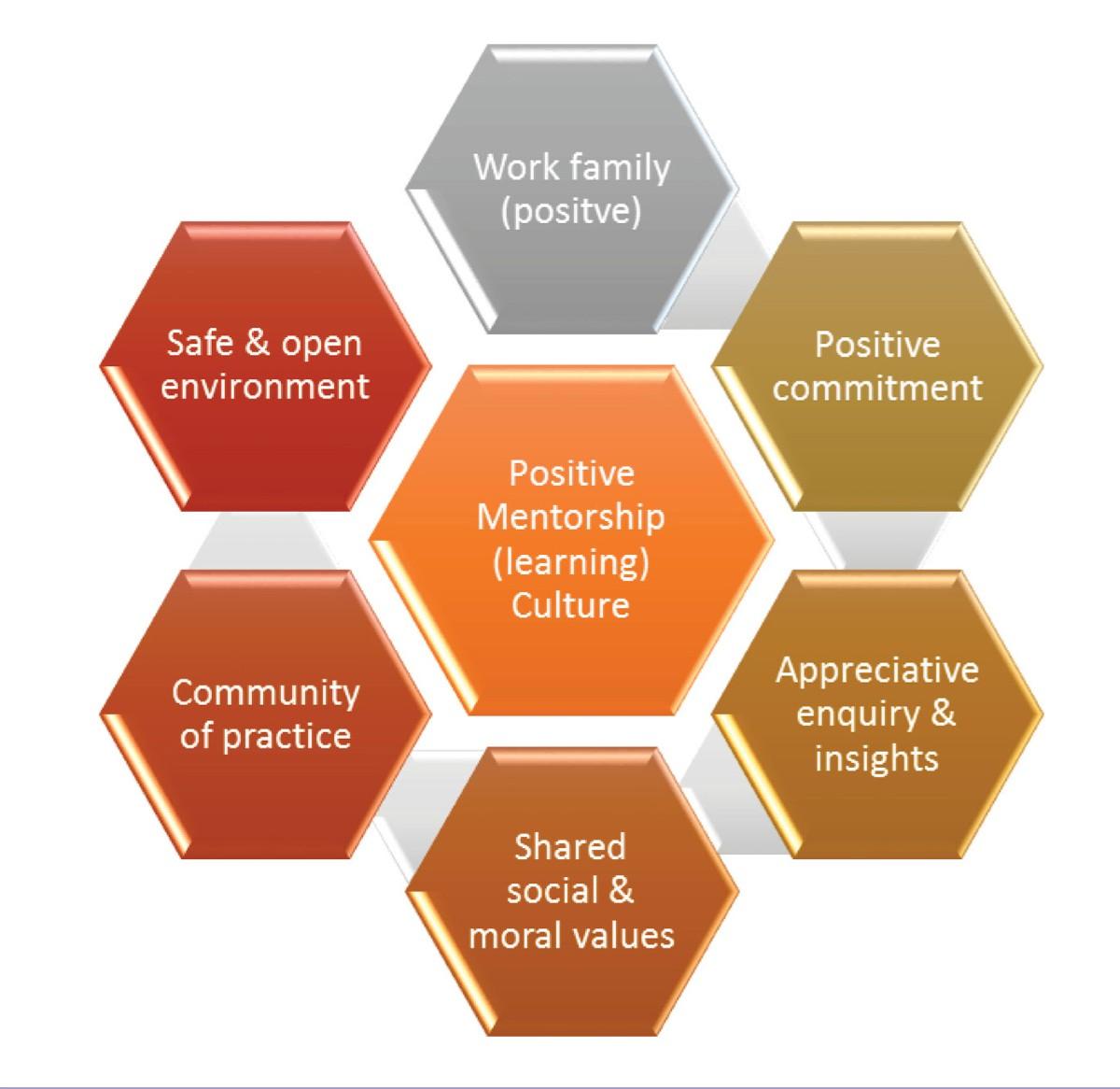 The image is an infographic consisting of seven hexagons arranged in a honeycomb pattern. Each hexagon contains text related to mentorship and positive work culture. The central hexagon is orange and reads 'Positive Mentorship (learning) Culture.' Surrounding it are six hexagons with the following texts: 'Safe & open environment,' 'Community of practice,' 'Shared social & moral values,' 'Appreciative enquiry & insights,' 'Positive commitment,' and 'Work family (positive).' The hexagons are colored in shades of red, orange, and gray, creating a visually appealing and organized layout.